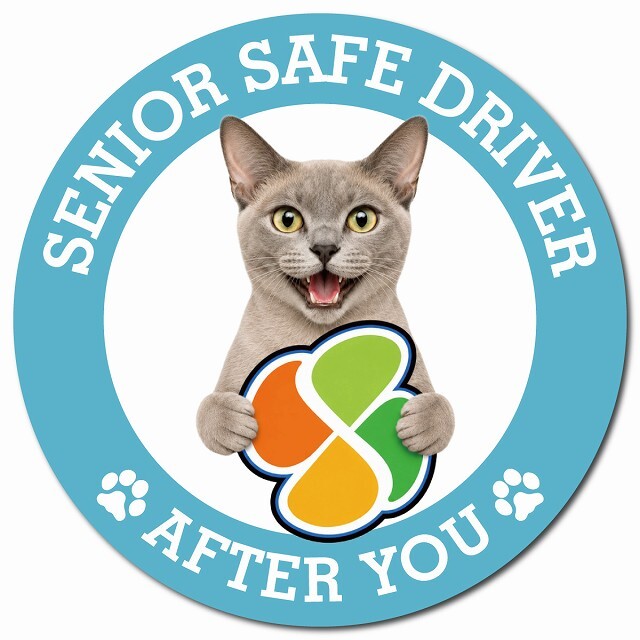 カーサイン 高齢者マーク SENIOR SAFE DRIVER ヨーロピアンバーミーズ マグネット 強力 直径13cm 肉球 日本製 車 ステッカー