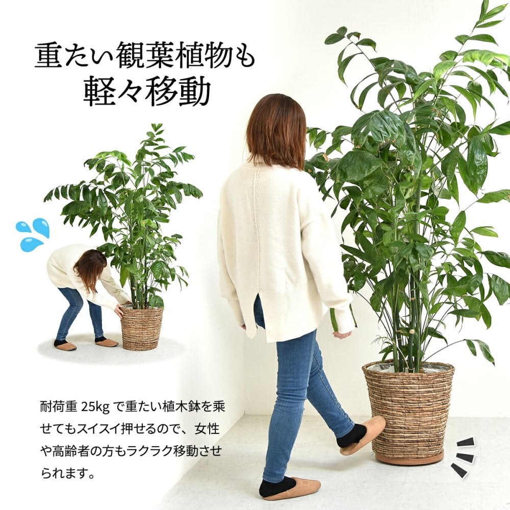 ラウンド プランターベース ONPT0106 W300×D300×H37mm キャスター付きプランター台 プランターバスケット プランターボックス プランタートレー 植木鉢 鉢 プランター置き 室内 リビング 事務所 オフィス 水やり キャスター付きトレー