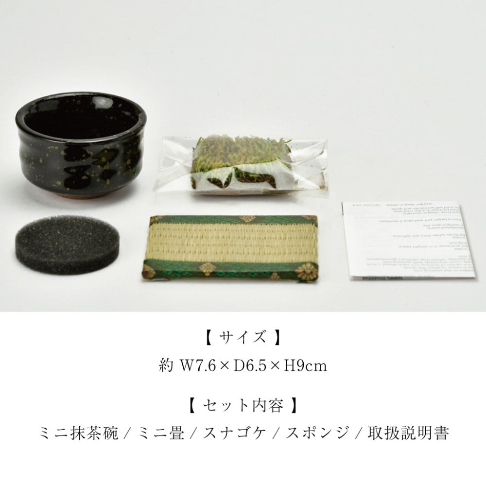 抹茶碗 苔栽培キット スナゴケ 植物 陶器 コケ グリーン スターターセット オブジェ 置物 おしゃれ インテリア 雑貨 ギフト プレゼント 男性 女性 父の日 母の日 敬老の日 誕生日 ラッピング対応 無料ラッピング