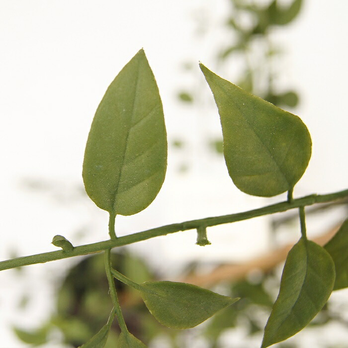 観葉植物 造花 ライベリー BROWN 全高約105cm 中型 フェイクグリーン 本物そっくり おしゃれ インテリア 人工観葉植物 アーティフィシャルグリーン オフィス 店舗 ホテル 開店祝い 室内 インテリアグリーン 枝もの フェイク