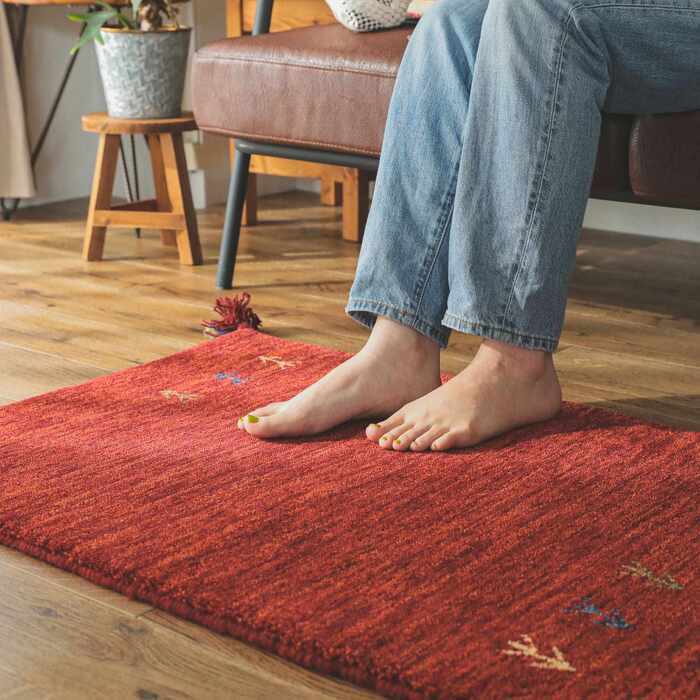 ラグ カーペット マット 玄関 玄関マット おしゃれ 40x60cm シンプルギャッベマット HOT対応 アヤカ 北欧 モダン シンプル デザイン かわいい かっこいい ギャッベ インド製 ホット 床暖 OK 送料無料 手織り 肌触り