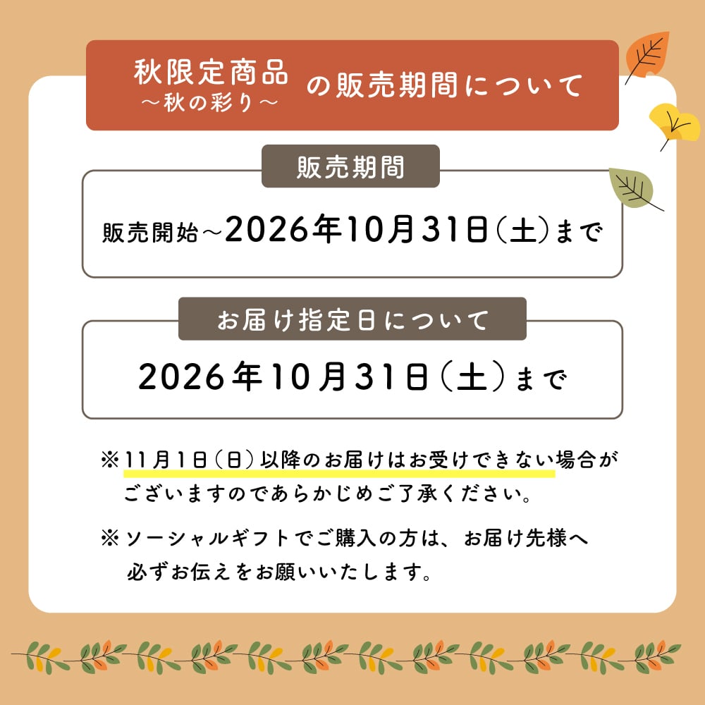 フラワーギフト カラフルガーデンフラワーアレンジメント Mサイズ 生花 花市場から直送 父の日  お祝い 誕生日 記念日