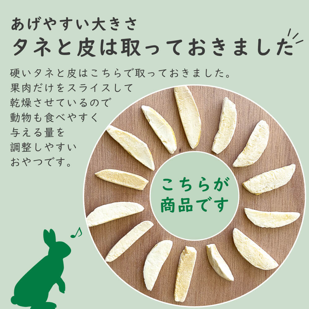 【砂糖不使用】小動物用フリーズドライマンゴー 20g 40g 60g 1袋あたり約35枚入り スライス ウサギ ハムスター モルモット インコ リス チンチラ ハリネズミ モモンガ おやつ 人も食べれる 完全無添加 砂糖ゼロ フルーツ 乾燥 果物 ペット 動物 中国産 送料無料