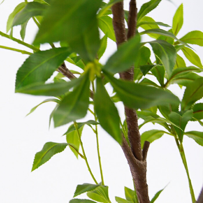 観葉植物 造花 アセビ BROWN 全高約210cm 大型 フェイクグリーン 高級 本物そっくり リアル おしゃれ 和風 和モダン インテリア 人工観葉植物 アーティフィシャルグリーン オフィス 店舗 ホテル 旅館 開店祝い 室内 リビング 玄関 風水 庭木 馬酔木