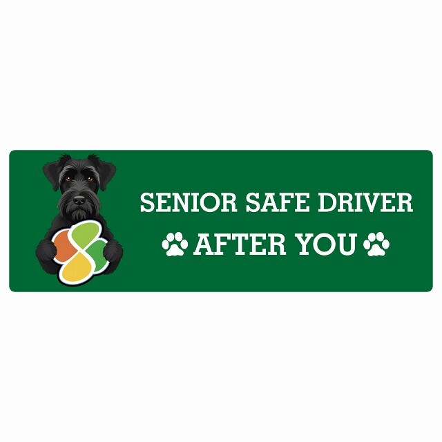 カーサイン 高齢者マーク SENIOR SAFE DRIVER ジャイアントシュナウザー ステッカー シール 長方形 20x6.7cm 肉球 日本製 車