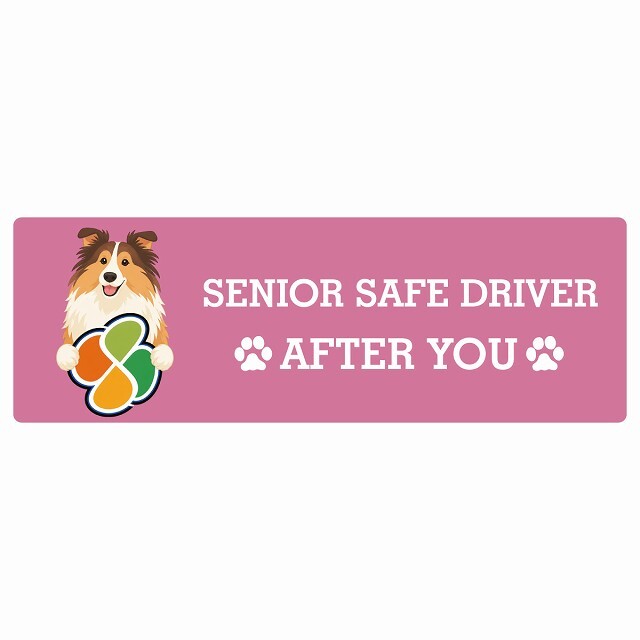 カーサイン 高齢者マーク SENIOR SAFE DRIVER ラフコリー ステッカー シール 長方形 15x5cm 肉球 日本製 車