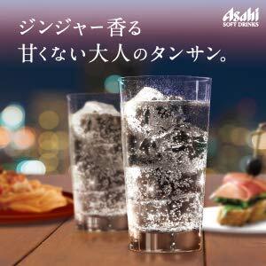 2ケース アサヒ飲料 ウィルキンソン ジンジャエール（辛口） 炭酸水 WILKINSON 500ml 2箱(48本入)