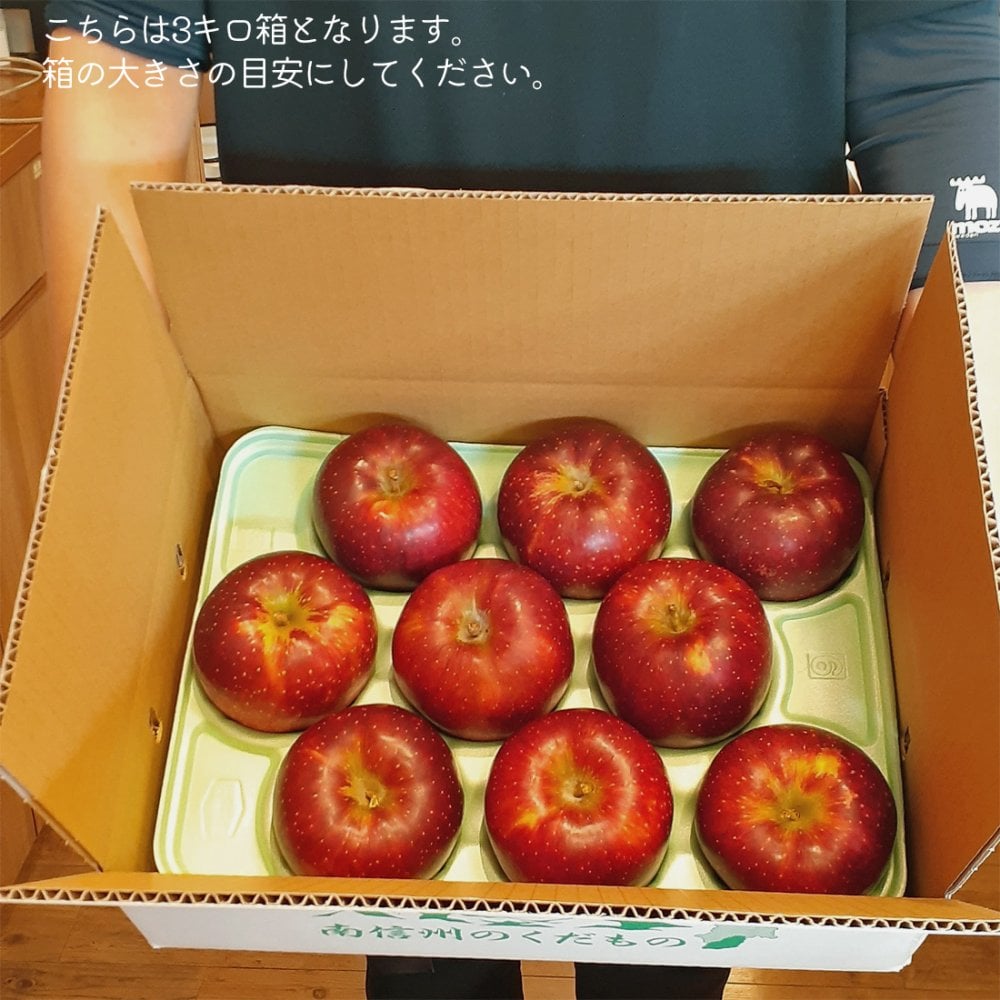 【予約】長野県産りんご 秋映 訳あり ご自宅用 果物 フルーツ お取り寄せ 産地直送 【送料無料(一部地域除く)】