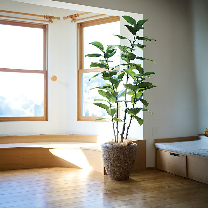 観葉植物 造花 フィカス エラスティカ BROWN 全高約195cm 大型 株立ち フェイクグリーン 高級 本物そっくり リアル おしゃれ インテリア 人工観葉植物 アーティフィシャルグリーン オフィス 店舗 ホテル 開店祝い 室内 リビング 玄関 風水 ゴムの木 インドゴムノキ