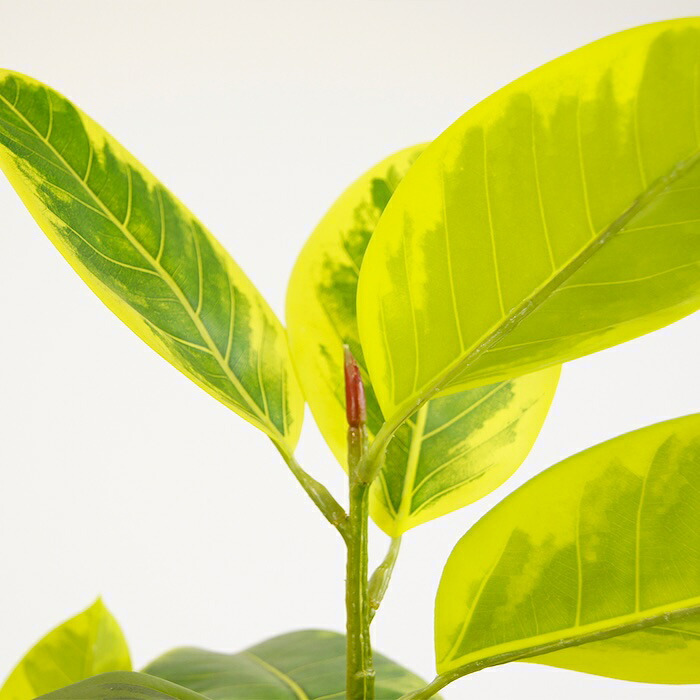 観葉植物 造花 フィカス アルテシマ BROWN 全高約175cm 大型 斑入り フェイクグリーン 高級 本物そっくり リアル おしゃれ インテリア 人工観葉植物 アーティフィシャルグリーン オフィス 店舗 ホテル 開店祝い 室内 リビング 玄関 風水 ゴムの木 アルテシーマ