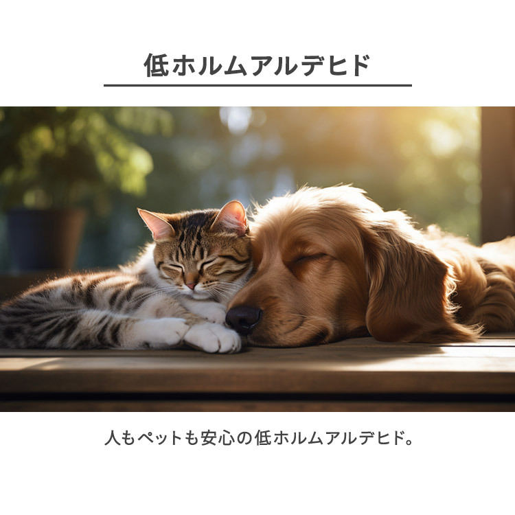 ペットベッド 猫 小型犬 ベッド 手洗い可 滑り止め付 丸型 ペット ソファー ベット アイリスオーヤマ クッション PCBA-500 2WAYラウンド P2RBA-470 *