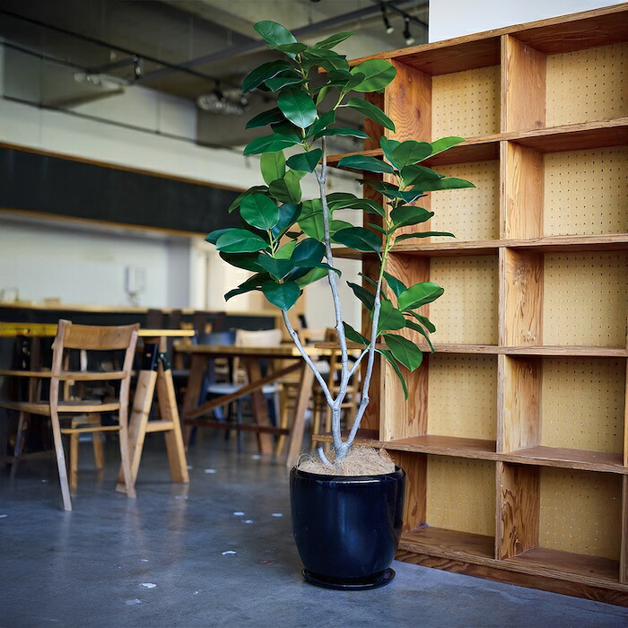 観葉植物 造花 フィカス ベンガレンシス BROWN 全高約170cm 大型 フェイクグリーン 高級 本物そっくり リアル おしゃれ インテリア 人工観葉植物 アーティフィシャルグリーン オフィス 店舗 ホテル 開店祝い 室内 リビング 玄関 風水 ゴムの木 ベンガルゴム