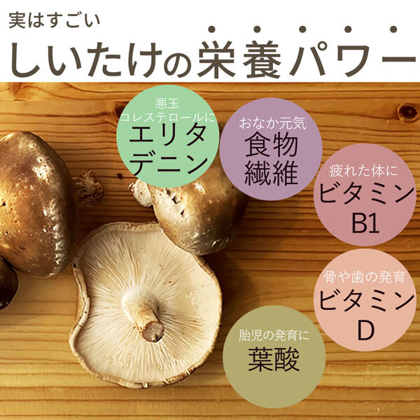しいたけパウダー 130g×1袋 国産 [cocofukuシリーズ] 国産 無添加 しいたけ 椎茸 粉末 だし 出汁 離乳食 減塩 ビタミンD 旨味 ダイエット 干しいたけ 調味料 健康 コレステロール エリタデニン 食物繊維 カリウム 鉄分 葉酸 (omb10118)