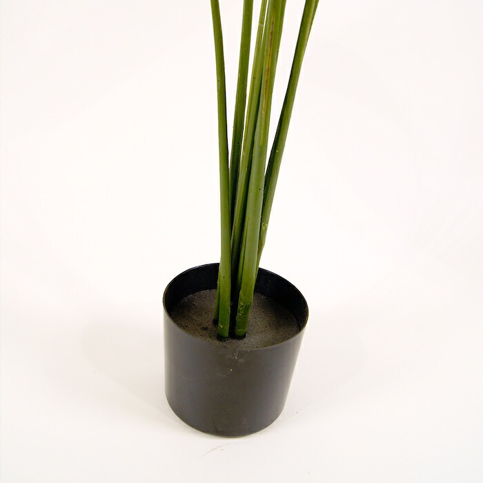 観葉植物 造花 カンナ BROWN 全高約165cm 大型 スリム フェイクグリーン 高級 本物そっくり リアル おしゃれ インテリア 人工観葉植物 アーティフィシャルグリーン 南国 オフィス 店舗 ホテル 開店祝い 室内 リビング 玄関 寝室 風水 フェイク