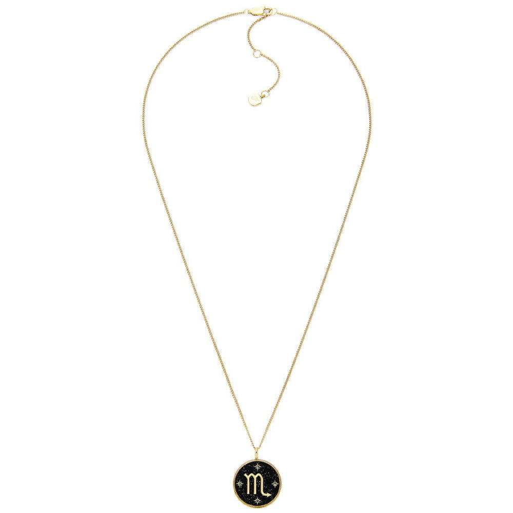 フォッシル FOSSIL Sutton アクセサリー ネックレス ペンダント さそり座 レディース JF04845710