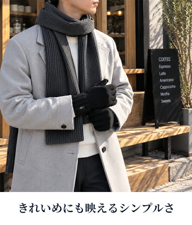 2026 最新 ポロ ラルフローレン 手袋 メンズ ブランド POLO RALPH LAUREN スマートフォン対応 ロゴ 無地 PC0494 黒 青 ネイビー グレー 選べるモデル