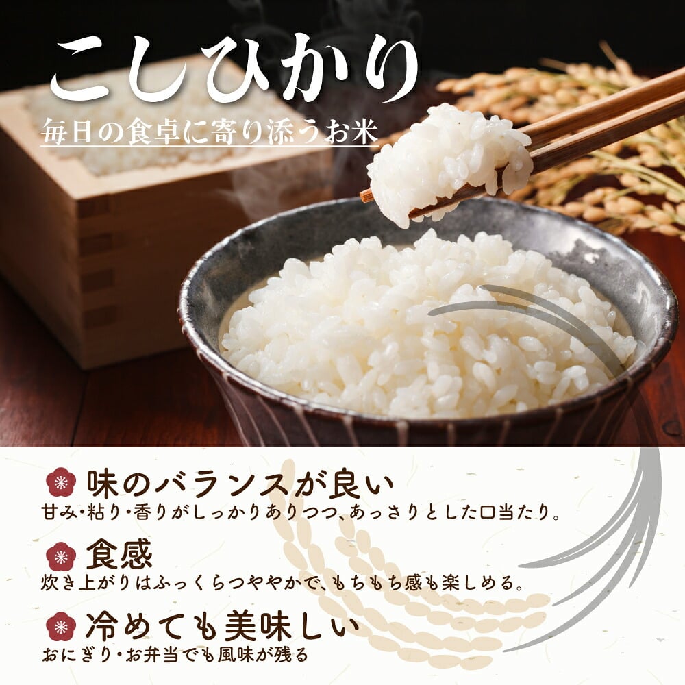 三重県産 コシヒカリ【内容量が選べる10kg~30kg】こしひかり 令和8年産 単一原料米 白米 精米 精白米 送料無料 精米工場からの直送品