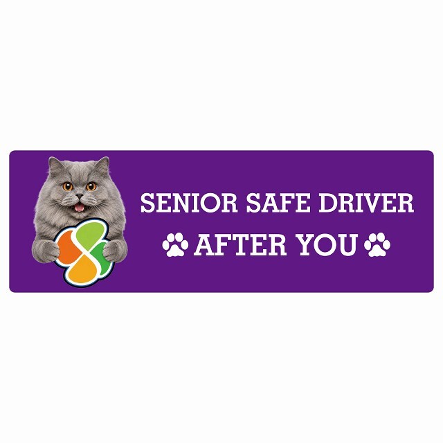 カーサイン 高齢者マーク SENIOR SAFE DRIVER ブリティッシュロングヘア ステッカー シール 長方形 15x5cm 肉球 日本製 車