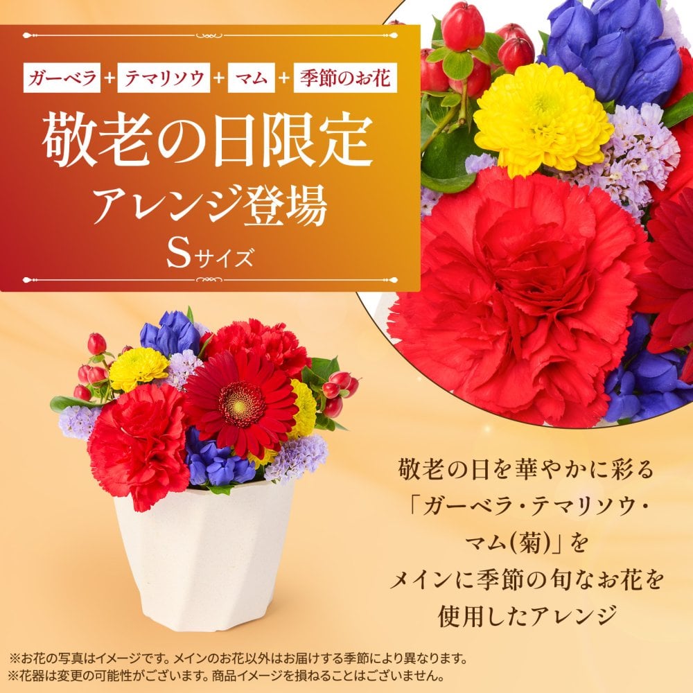 そのまま飾れる アレンジメント Sサイズ 敬老 お中元 敬老の日 退職 入学 送料無料 土日発送OK アレンジ 誕生日プレゼント バラ ギフト フラワー 花束 生花 お祝い フラワーギフト 花 花瓶いらず プレゼント 花 ギフト 50代 60代 70代
