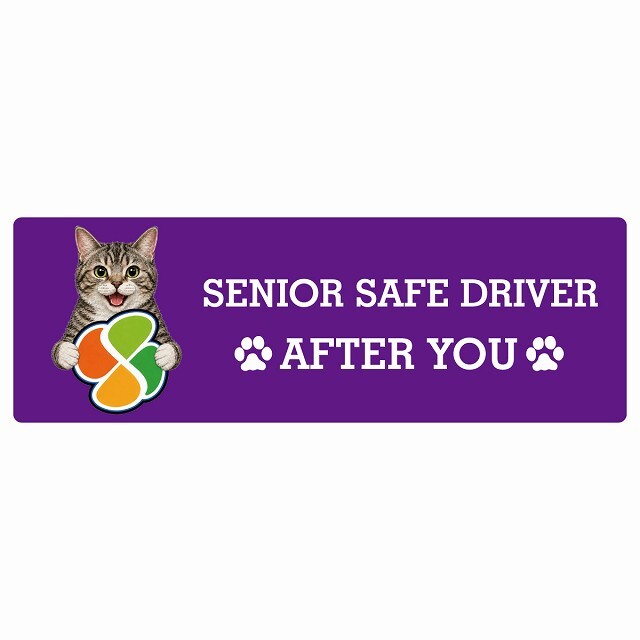 カーサイン 高齢者マーク SENIOR SAFE DRIVER アメリカンワイヤーヘア ステッカー シール 長方形 15x5cm 肉球 日本製 車