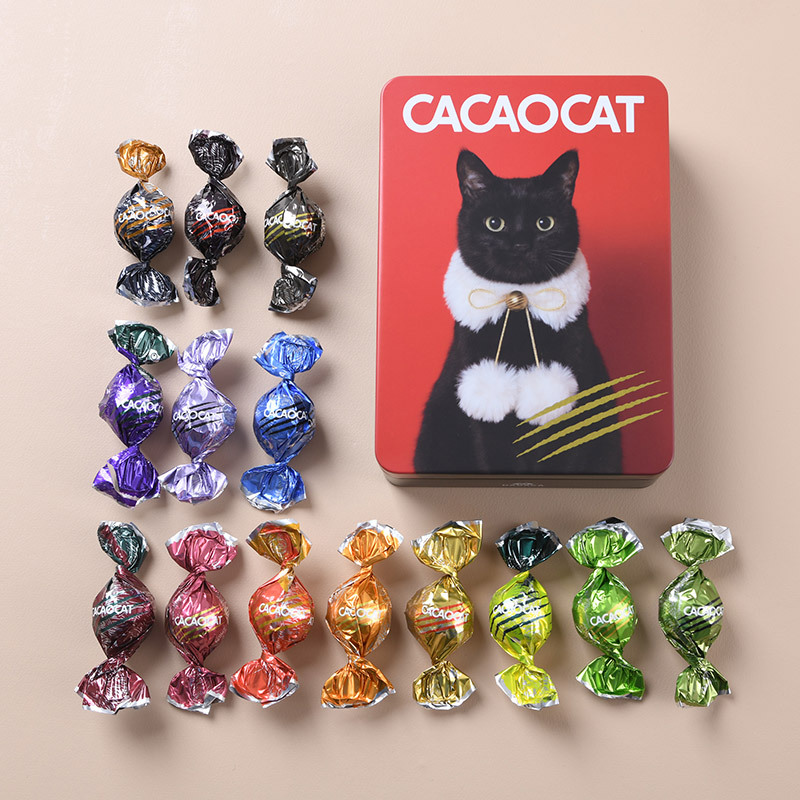 CACAOCAT カカオキャット ミックス缶 14個入り RED NR-03857 ボンボンショコラプレミアムチョコレート/アソート/ギフト プレゼント/北海道/クリスマス/バレンタイン/かわいい猫チョコ/ねこ/DADACA/