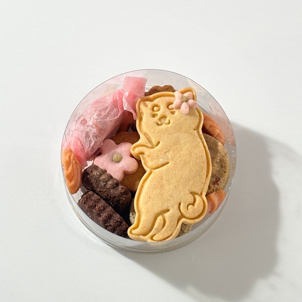 おさんぽ犬の発酵ビスケットボックス 焼き菓子セット