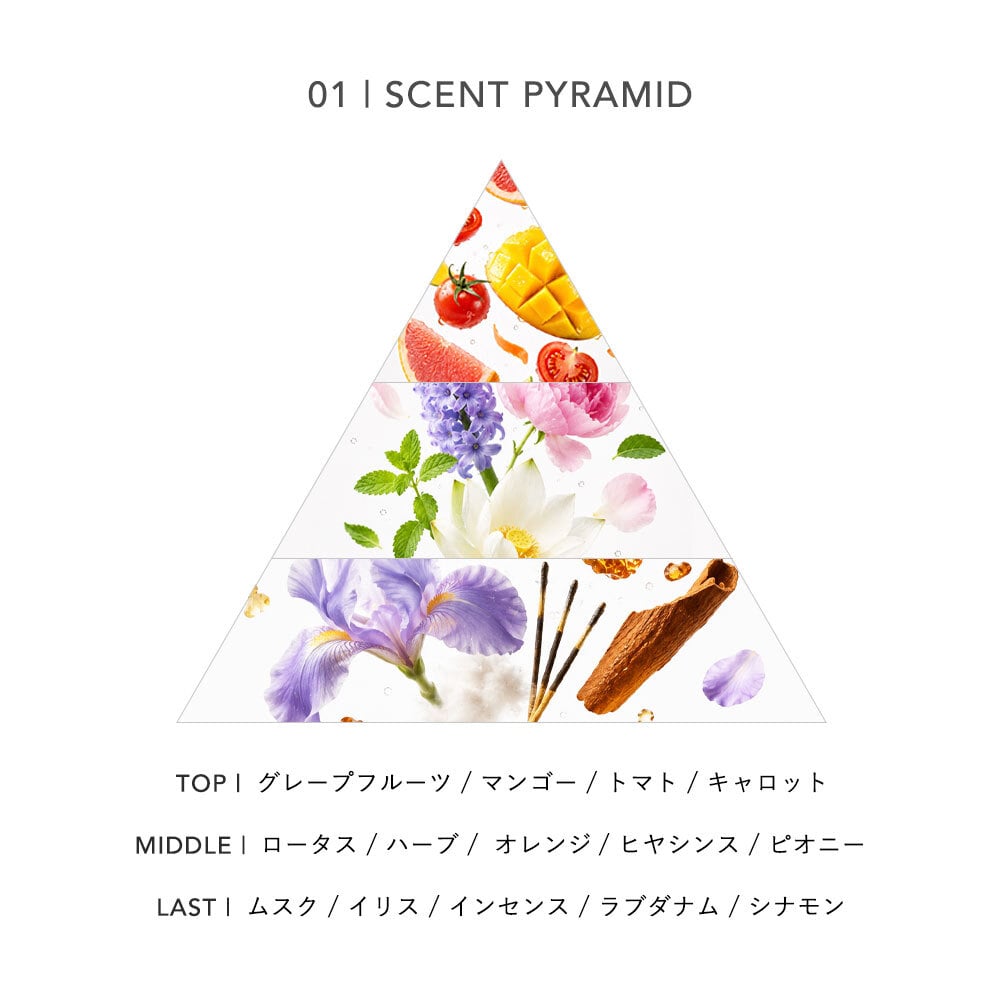 ベルバイ BELLE BAI ベルナンバー5 オードパルファン / ヴァーダント ヒア フレグランス女性用 香水 レディーズ 50ml