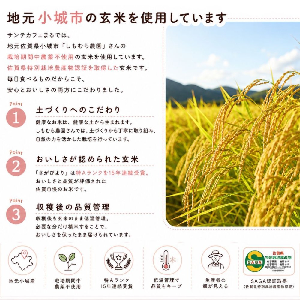グルテンフリー ヴィーガン玄米スティックパン 10本入り