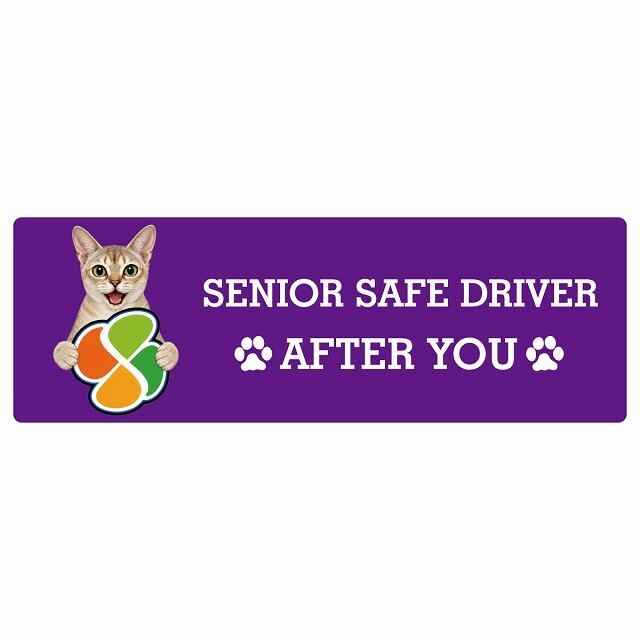 カーサイン 高齢者マーク SENIOR SAFE DRIVER シンガプーラ ステッカー シール 長方形 15x5cm 肉球 日本製 車