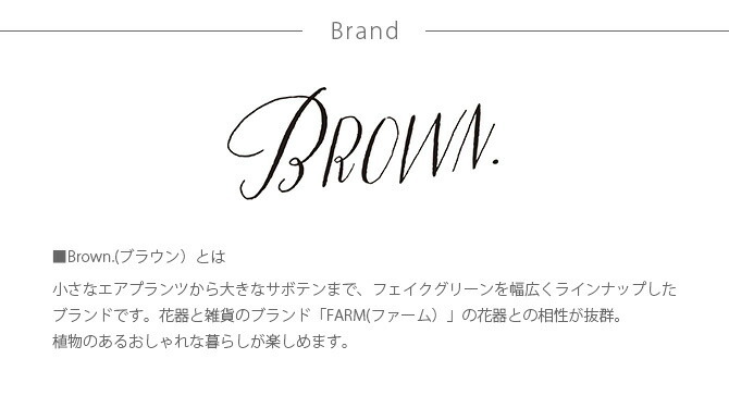 Brown. ブラウン キセログラフィカ ポット