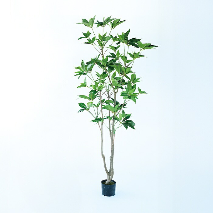 観葉植物 造花 ツピタンサス BROWN 全高約210cm 大型 3本立ち フェイクグリーン 高級 本物そっくり リアル おしゃれ インテリア 人工観葉植物 アーティフィシャルグリーン オフィス 店舗 ホテル 開店祝い 室内 リビング 玄関 風水 ツピダンサス
