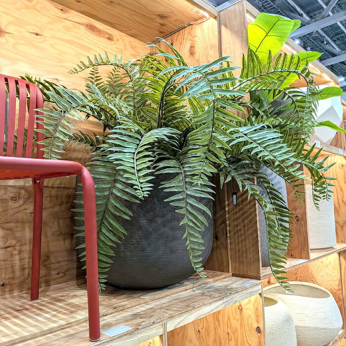 観葉植物 造花 ジャイアントソードファーン 枝垂れ BROWN 全高約70cm フェイクグリーン 高級 本物そっくり リアル おしゃれ 卓上 インテリア 人工観葉植物 アーティフィシャルグリーン シダ オフィス 店舗 開店祝い 室内 リビング 玄関 風水 ボストンファーン