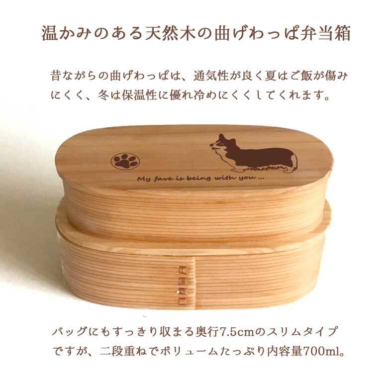 Fave コーギー スリム入子型 曲げわっぱ 弁当箱  天然木 二段 わっぱ 木製 スリム オリジナル ウェルシュコーギー カーディガン 犬 ペット 動物 アニマル ホワイトデー