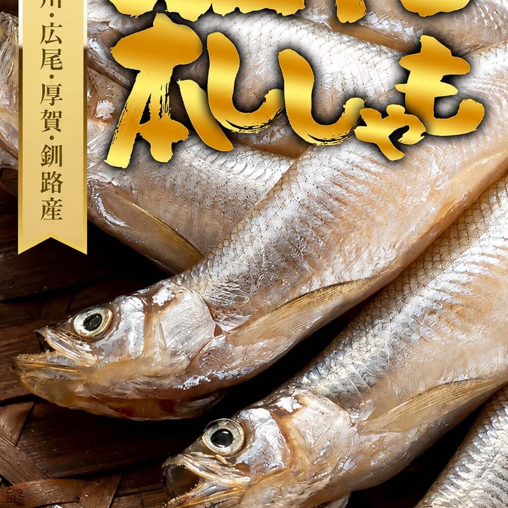 子持ち 本シシャモ　30尾入り　（中サイズ）　北海道鵡川・広尾・厚賀・釧路産 ししゃも 脂のりも良く、ご飯のおかずに最適 干物 柳葉魚 干し魚 ぷちぷち卵の食感も味わえます 焼き魚