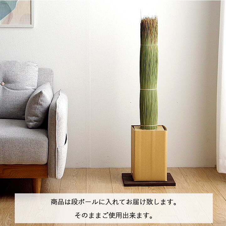国産 日本製 い草 インテリア オブジェ 消臭 空気清浄 ナチュラル 植物 置物 95×10cm