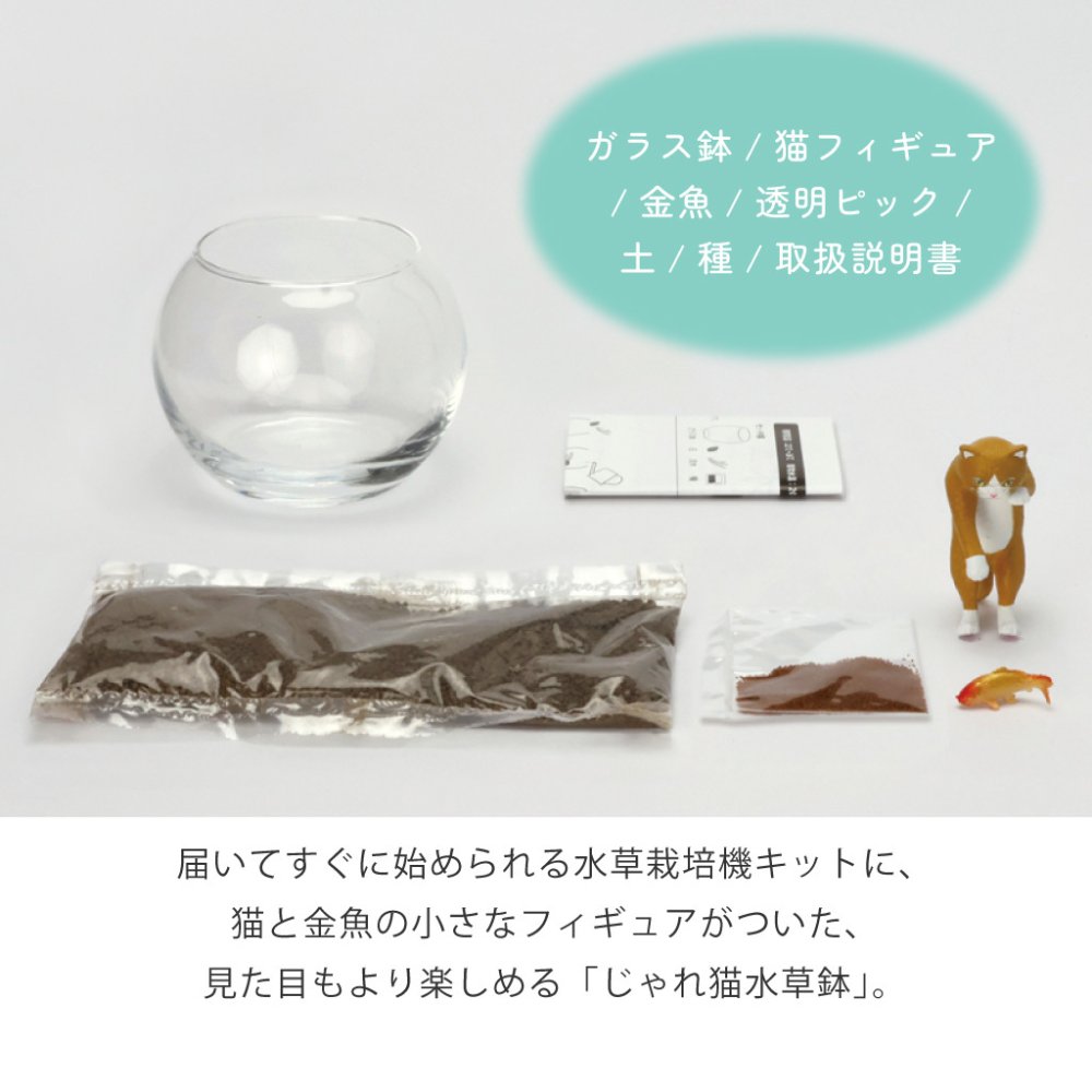 じゃれ猫水草鉢 猫と楽しむミニアクアリウム水草栽培キット 鉢付き フィギュア付き 猫 ネコ ねこ 金魚 植物 グリーン スターターセット オブジェ 置物 おしゃれ インテリア 雑貨 ギフト プレゼント 男性 女性 誕生日 母の日 父の日 敬老の日 引越し祝い 新築祝い お祝 ラッピング対応 無料ラッピング