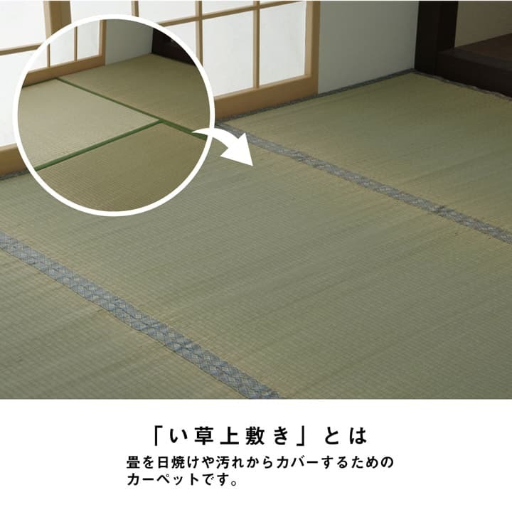 夏ラグ 夏用カーペット い草 上敷き カーペット 制菌 抗菌防臭 消臭 小林製薬KOBA-GUARD 江戸間3畳(約176×261cm）