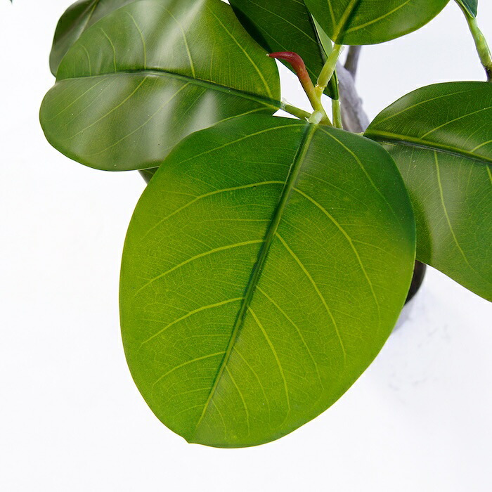 観葉植物 造花 フィカス ベンガレンシス BROWN 全高約170cm 大型 フェイクグリーン 高級 本物そっくり リアル おしゃれ インテリア 人工観葉植物 アーティフィシャルグリーン オフィス 店舗 ホテル 開店祝い 室内 リビング 玄関 風水 ゴムの木 ベンガルゴム