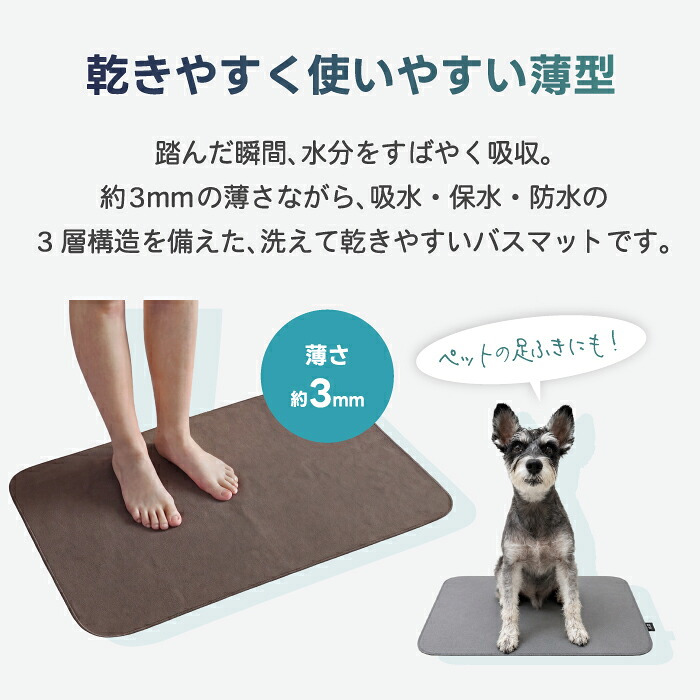 バスマット ±0 激落ちくん 1秒吸水 吸水 速乾 洗える 洗濯機OK 薄型3mm 軽量 さらさら お風呂マット 足ふきマット 珪藻土じゃない 乾きやすい 清潔 滑りにくい おしゃれ 北欧 シンプル 一人暮らし 新生活 脱衣所 洗面所 Mサイズ 45×60cm ギフト プラスマイナスゼロ