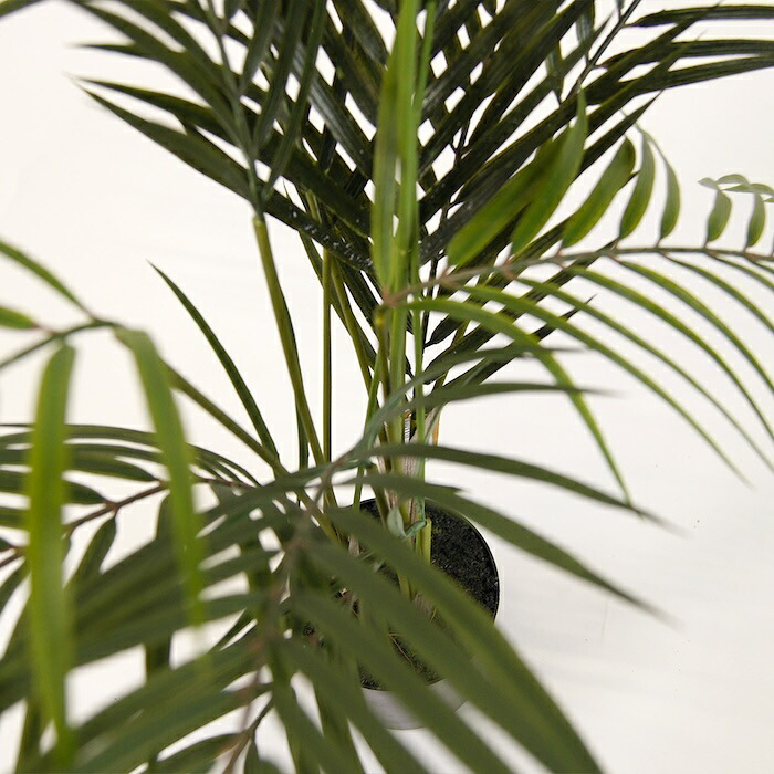 観葉植物 造花 アレカヤシ BROWN 全高約70cm 卓上・小型 フェイクグリーン 本物そっくり おしゃれ インテリア 人工観葉植物 アーティフィシャルグリーン オフィス 店舗 ホテル 開店祝い 室内 ミニ アレカパーム ヤシの木 フェイク