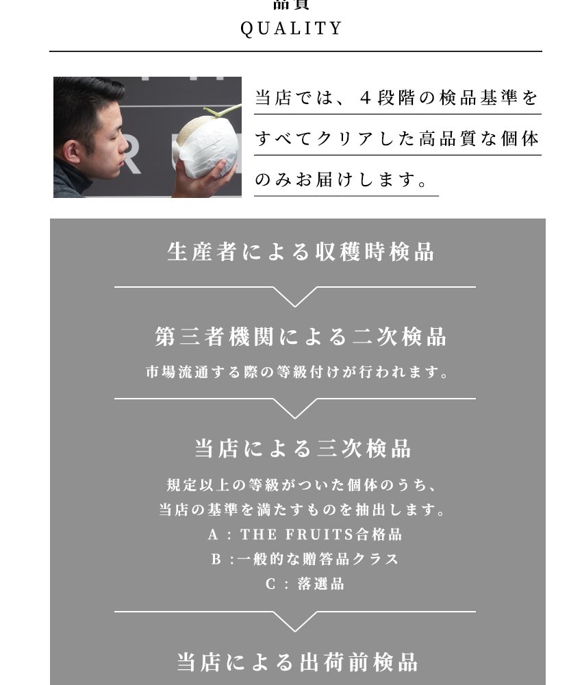THE FRUITS ラ・フランス 山形県産 洋梨 ラ・フランス 1玉 等級 特秀 中玉 16玉級 以上 ラフランス 洋梨 高級 内祝い お返し 出産内祝い 内祝 入学内祝い 快気祝い 結婚祝い 結婚内祝い お供え 御供 ギフト フルーツ 果物  希少 食べ物 大容量 贈答品 贈答用