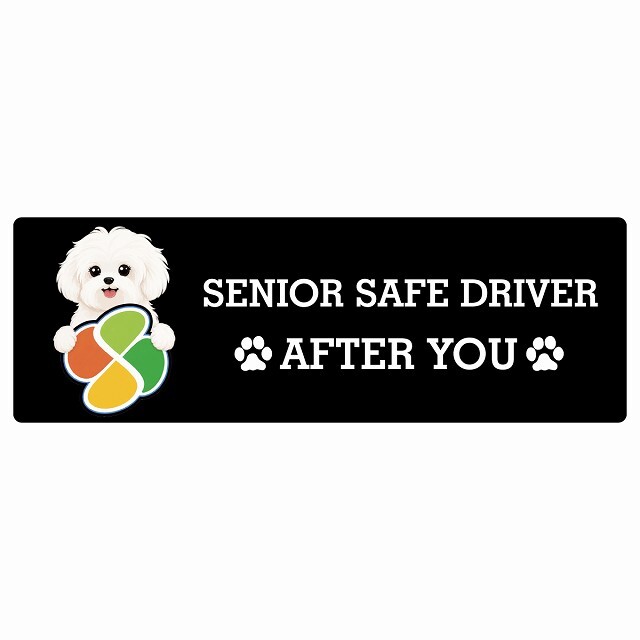 カーサイン 高齢者マーク SENIOR SAFE DRIVER マルチーズ ステッカー シール 長方形 15x5cm 肉球 日本製 車
