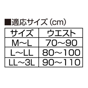 お医者さんのがっちり下腹ベルト アルファックス 下腹 ぽっこりお腹 引き締め 骨盤ベルト 補正下着 ウエストシェイプ 姿勢矯正 腰サポーター コルセット メッシュ 通気性 苦しくない 男女兼用 薄手 薄い 3段ベルト