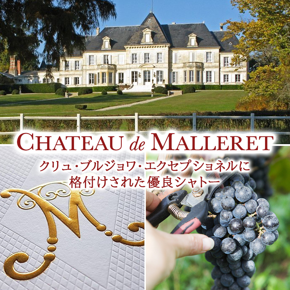 高級ワイン フランス BORDEAUX ボルドー 飲み比べセット赤ワイン 白ワイン 2本 紅白ワイン フランス オー・メドック クリュ・ブルジョワ・エクセプショネル 750ml 2本 贈り物 プレゼント 熨斗包装 ギフト箱付 お祝い 会社 上司 送料無料