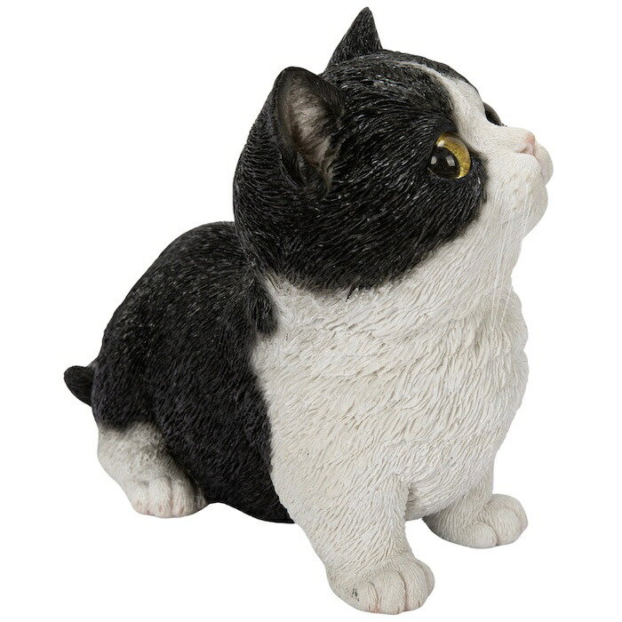置物 猫 見上げるマンチカン 黒白 幅16cm woobia ウービア リアル かわいい おしゃれ 玄関 インテリア オブジェ ガーデン マンチカン 白黒 ハチワレ ネコ 動物 アニマル 癒し 棚 北欧 リビング プレゼント ギフト 新築祝い 猫好き