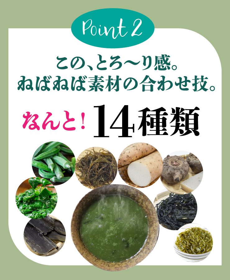 無添加 すごいねばねばグリーンポタージュダイエットスープ12食