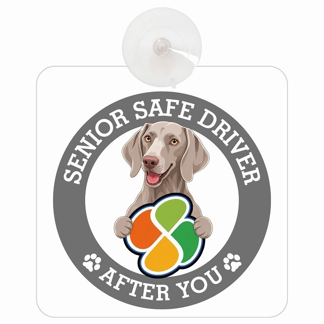 カーサイン 高齢者マーク SENIOR SAFE DRIVER ワイマラナー 車内用 吸盤タイプ 収れん火災防止タイプ 肉球 日本製 車 ステッカー