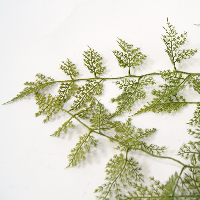 観葉植物 造花 アスパラガス BROWN 全長約63cm フェイクグリーン 高級 本物そっくり リアル おしゃれ 卓上 インテリア 人工観葉植物 アーティフィシャルグリーン 垂れ下がる ふわふわ オフィス 店舗 開店祝い 室内 リビング 玄関 トイレ 風水 アスパラガスファーン