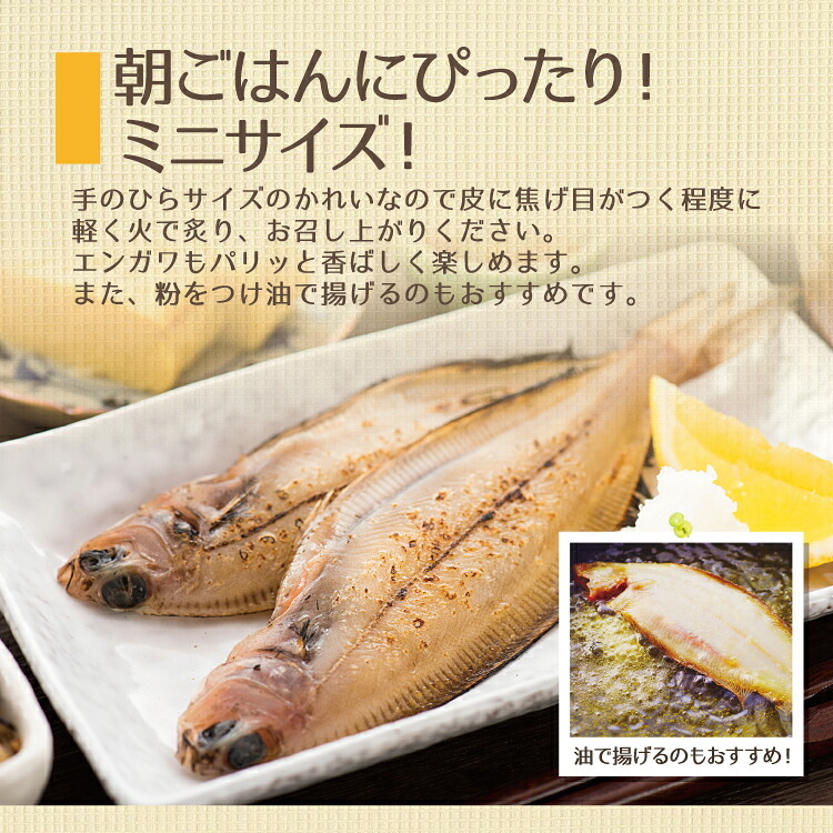 若狭カレイ 一塩干し ミニサイズ 3尾 3セット 6セット カレイ 一夜干し 保存料不使用 干物 天神講 天神様