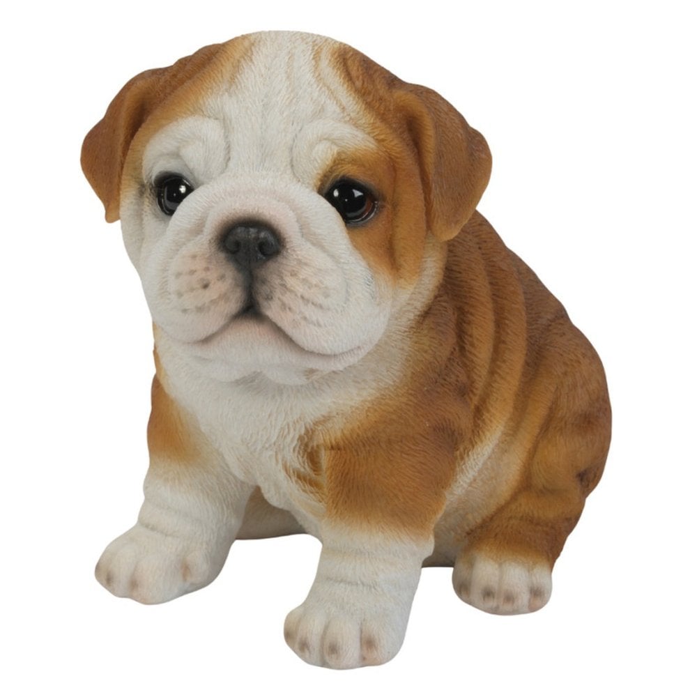 置物 woobia ウービア 犬 イングリッシュブルドッグ お座りブルドッグ 子犬 幅16cm 茶白 ぶさかわ リアル 本物そっくり イギリス生まれ 職人手彩色 縁起物 戌年 玄関 インテリア 新築祝い 引っ越し祝い 開店祝い 出産祝い 誕生日 お祝い ギフト プレゼント 犬好き ブルドッグ好き